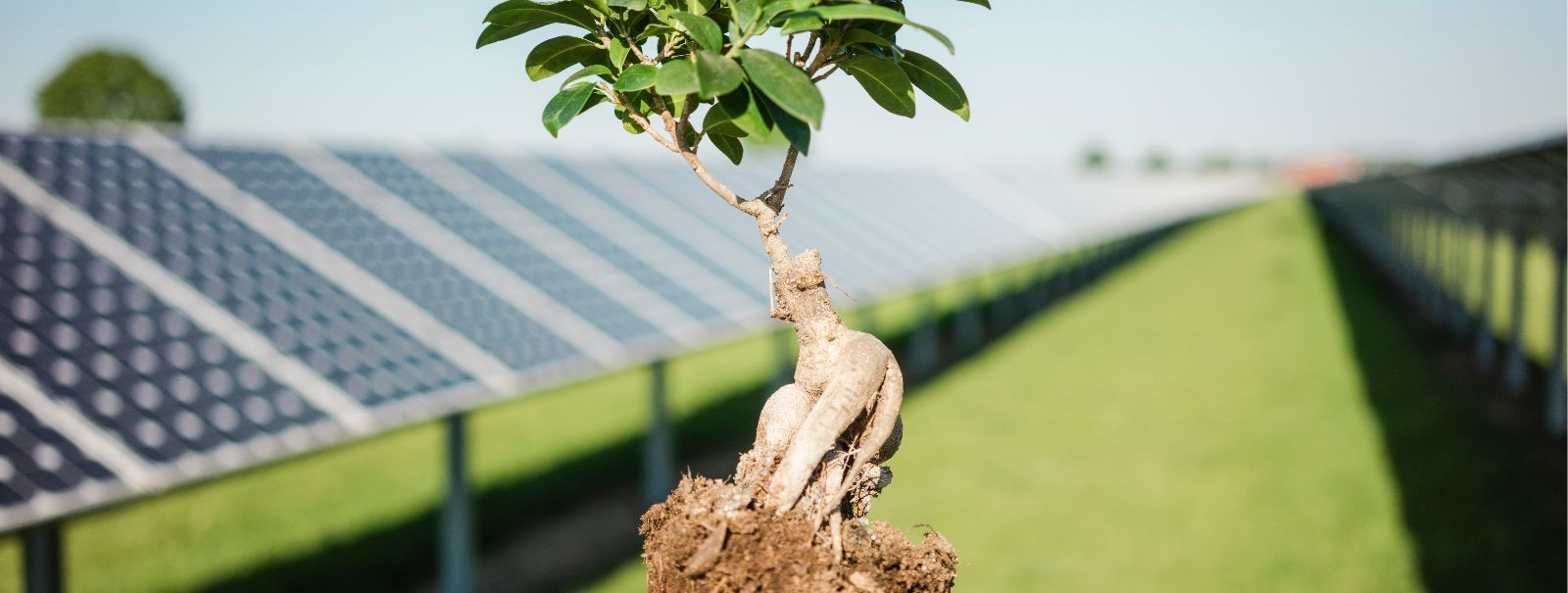 In today's fast-paced world, energy efficiency is more crucial than ever. Power management software is a cutting-edge solution designed to help homeowners and b