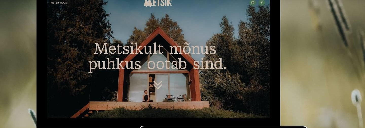 Hallatav veebilahendus, mis toetab sinu äri eesmärke  Kaasaegne veebileht või e-pood peab olema rohkem kui lihtsalt ilus visiitkaart. See peab olema kiire, arus