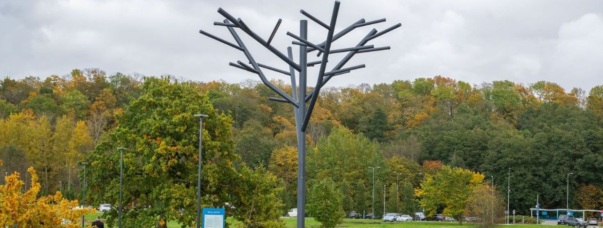 Rotech OÜ projekteeris Tammade pargi välisvalgustuse. Valgustuse juhtimine toimub BEGA BugSaver, DALI ja Philips LNC7700 kaudu 