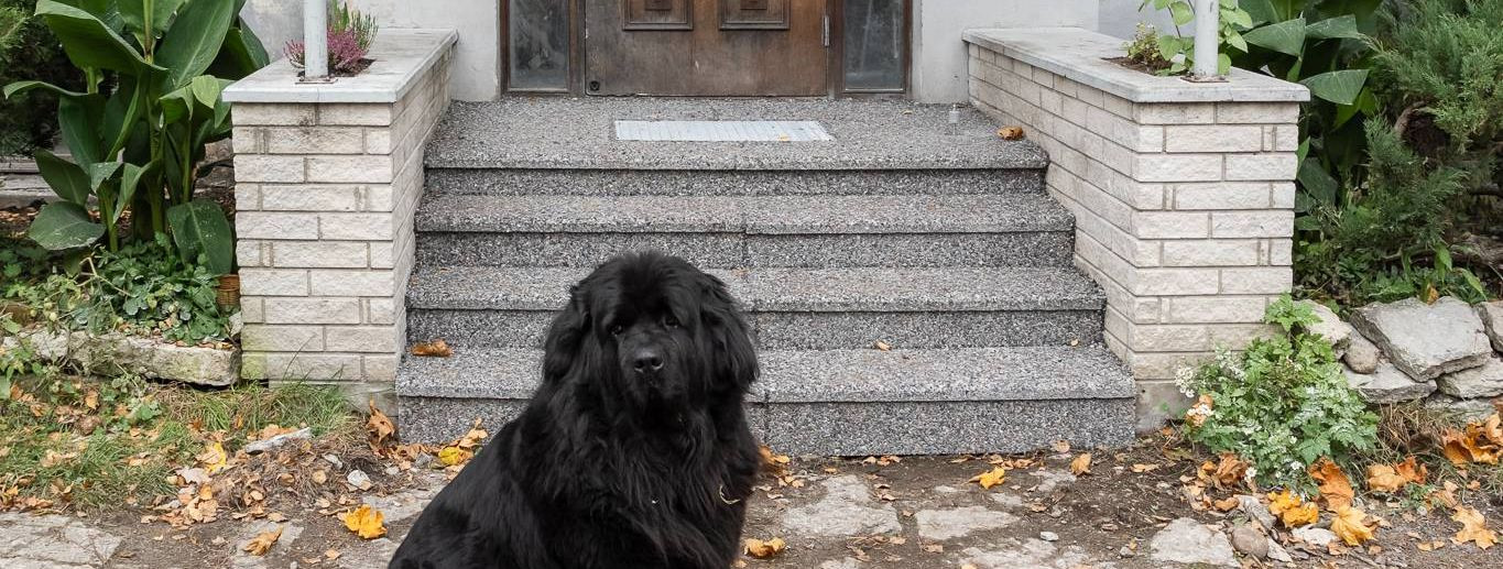 Outdoor stairs are a crucial component of any property, providing access and enhancing the aesthetic appeal of your home or business. However, they are constant
