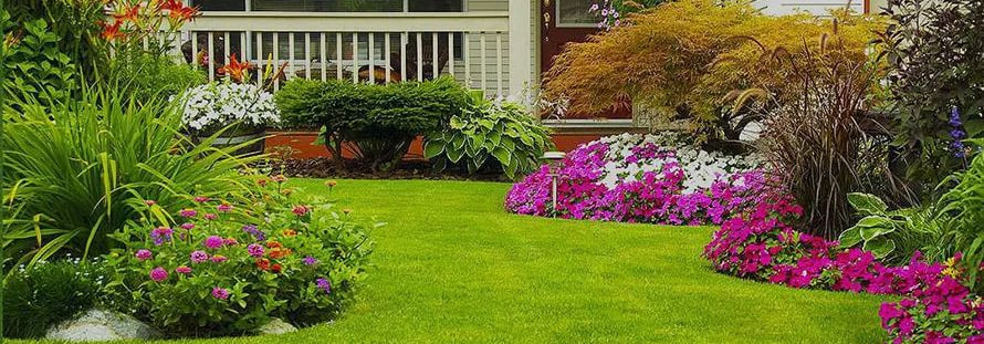 Täislahendus haljastusele  loob terviklikud, esteetiliselt toimivad välisruumid alates esimesest seemnest kuni pikaajalise hoolduseni. Teenus ühendab istikute k