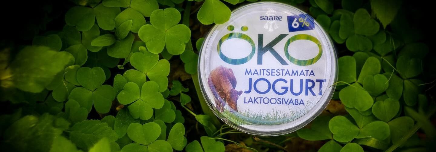 Jogurtivalik  pakub mugavat viisi leida sobiv lahendus nii kiireks hommikusöögiks, tervislikuks vahepalaks kui ka mitmekülgseks kasutamiseks toiduvalmistamisel.