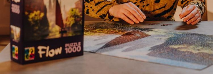 We believe that good table games and puzzles bring people together, offer joy and encourage thinking. Our job is to create and make available gaming experiences