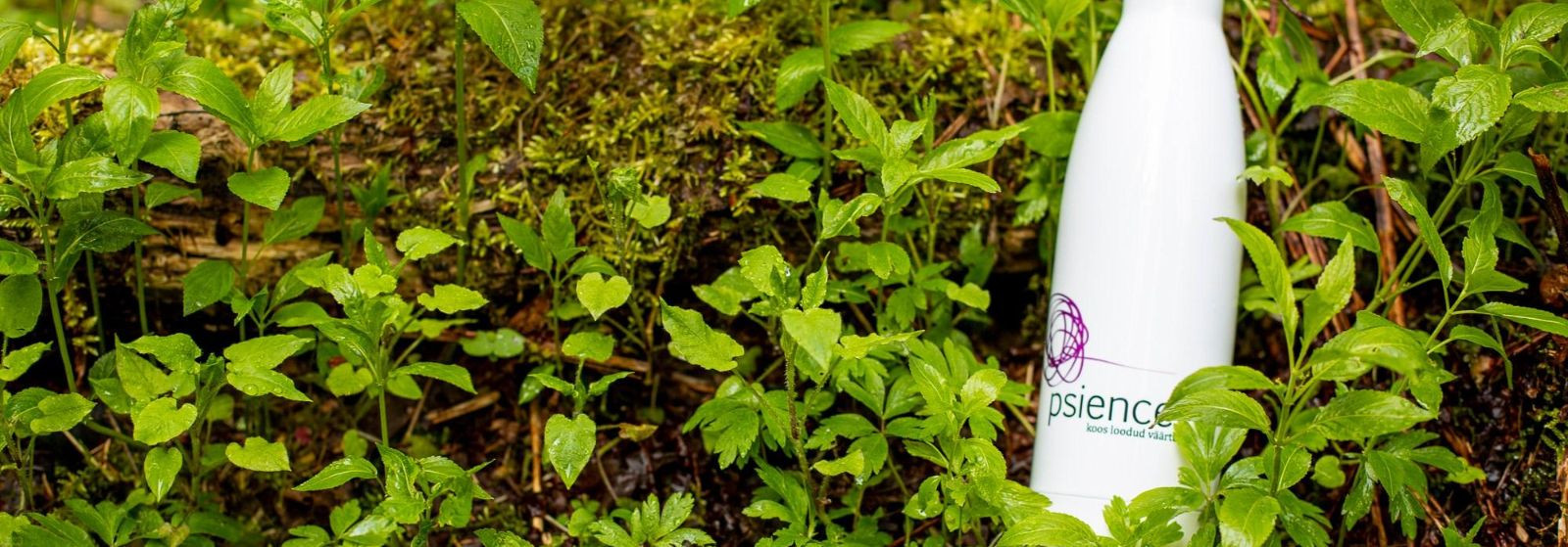 Mis on töörahulolu uuringud? 
  Töörahulolu uuringud  pakuvad struktureeritud, andmepõhist ülevaadet töötajate kogemustest, motivatsioonist ja kaasatusest. Küsi