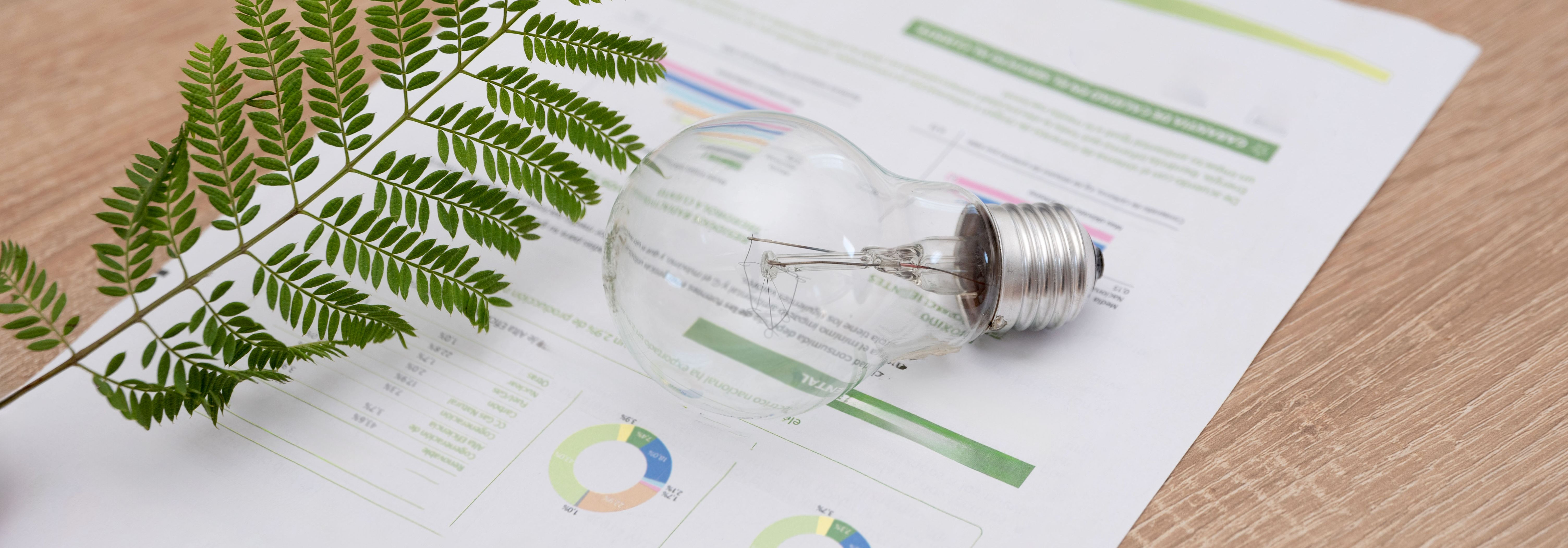 Tänapäeva kiire tempoga ärikeskkonnas ei ole energiatõhusus ...