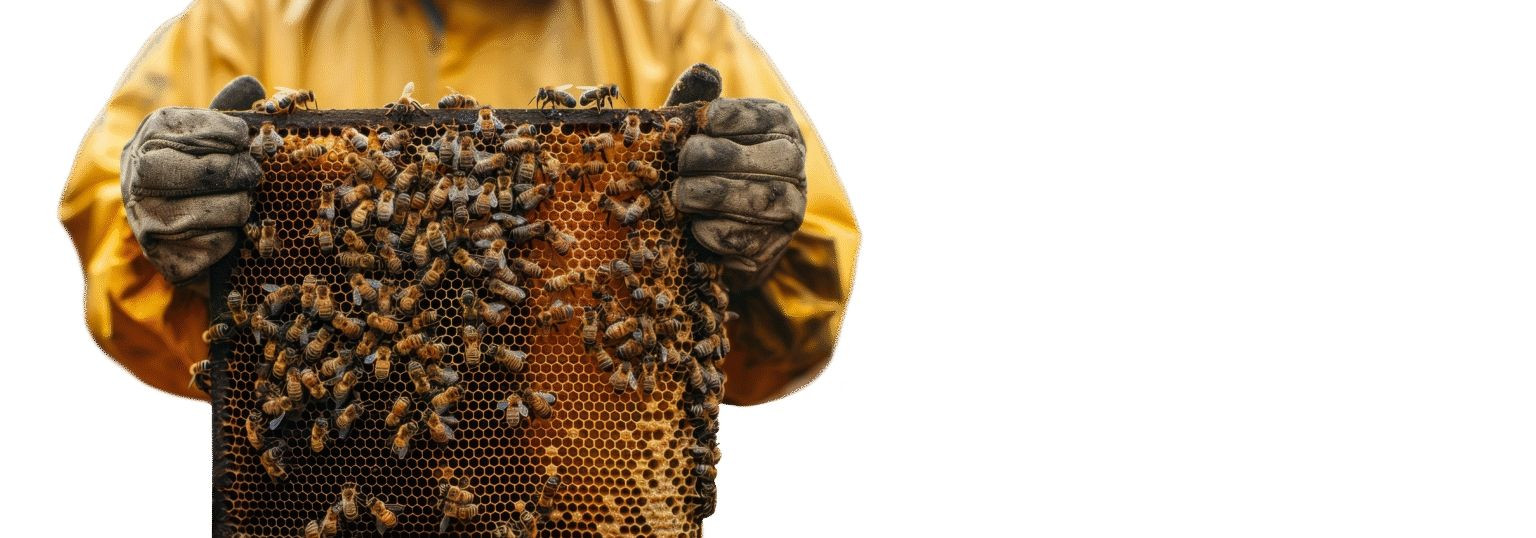 Me oleme talu- ja veebipõhine mesiettevõte, mis toob tarbijani mett ja mesindusega seotud tooteid otse talust. Meie töö põhineb ausal, piirkondlikul lähenemisel