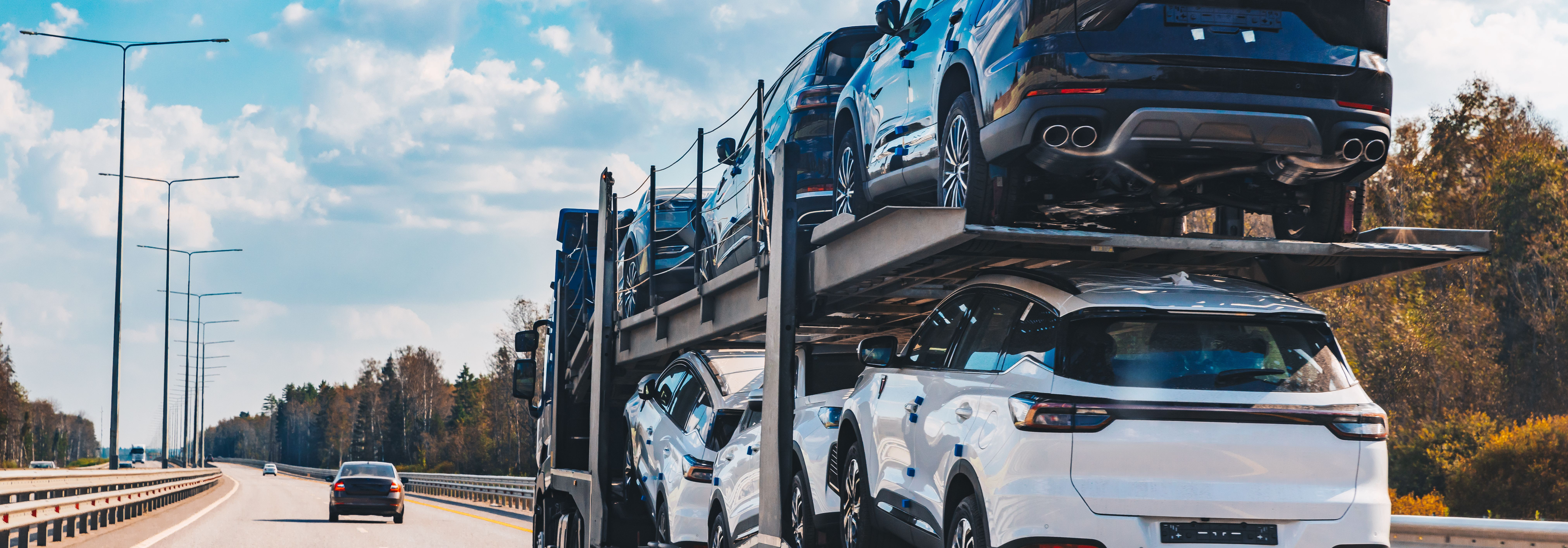 Tänapäeva globaliseerunud maailmas on sõidukite tellimise protsess Euroopast muutunud üha kättesaadavamaks ja atraktiivsemaks paljudele autohuvilistele ja ostja