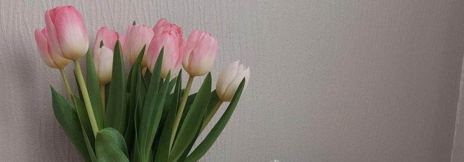 Meie eesmärk on teha pitsilise kudumise valdkond ligipääsetavaks ja sõbralikuks neile, kes sellest rõõmu tunnevad. Soovime pakkuda keskkonda, kus harrastajad le