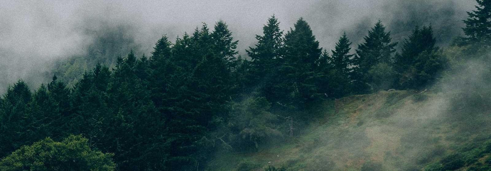 We are a real estate agency that helps to make real estate transactions clearer and less burdensome for owners, buyers and tenants. Our work is based on profess