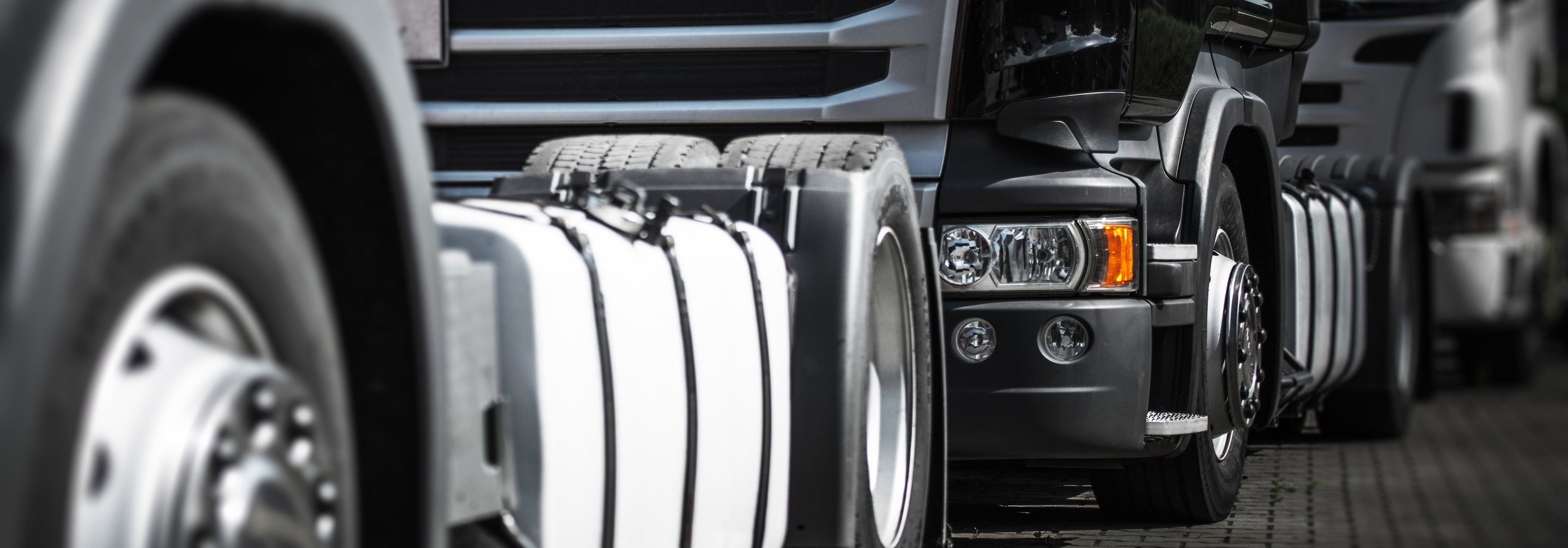 Welcome to SAVWORK OÜ, where our mission is more than just words—it's the foundation of everything we do. We are not just a company; we are a promise to our pla