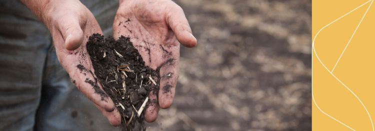 Our aim is to support farmers and regional businesses with practical and reliable opportunities that help to realize the value of the harvest and make better de