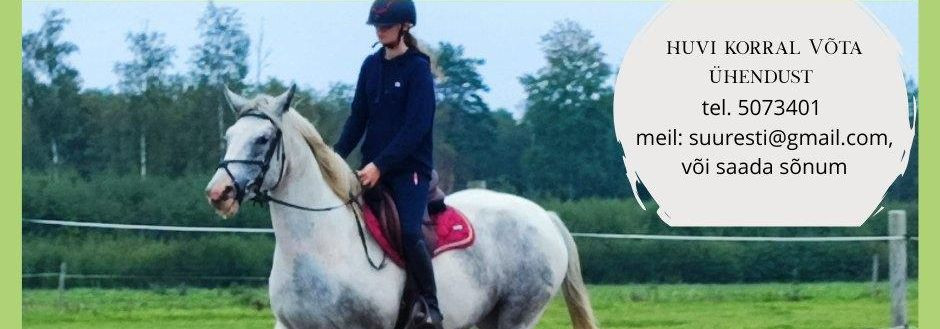 Our activities focus on the well-being of the horse and man: we create a caring, professional and community environment where both children and adults can learn