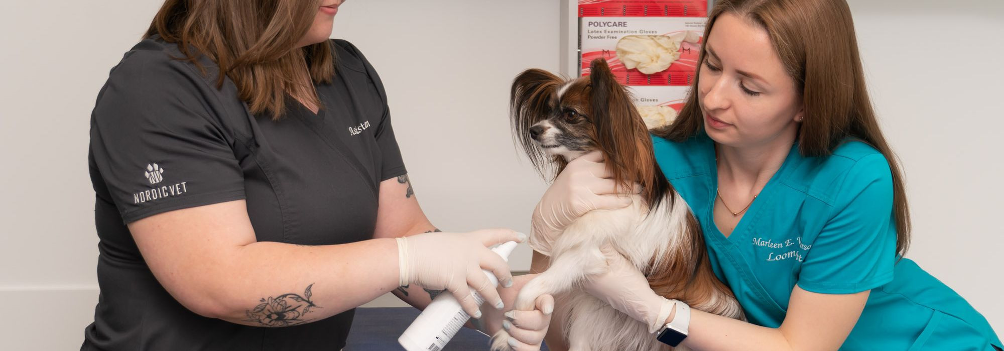Lemmikloomade liigesehaigused võivad esineda erineval viisil ja mõned sümptomid võivad olla samad mis teiste terviseprobleemide puhul. Siiski, siin on mõned mär