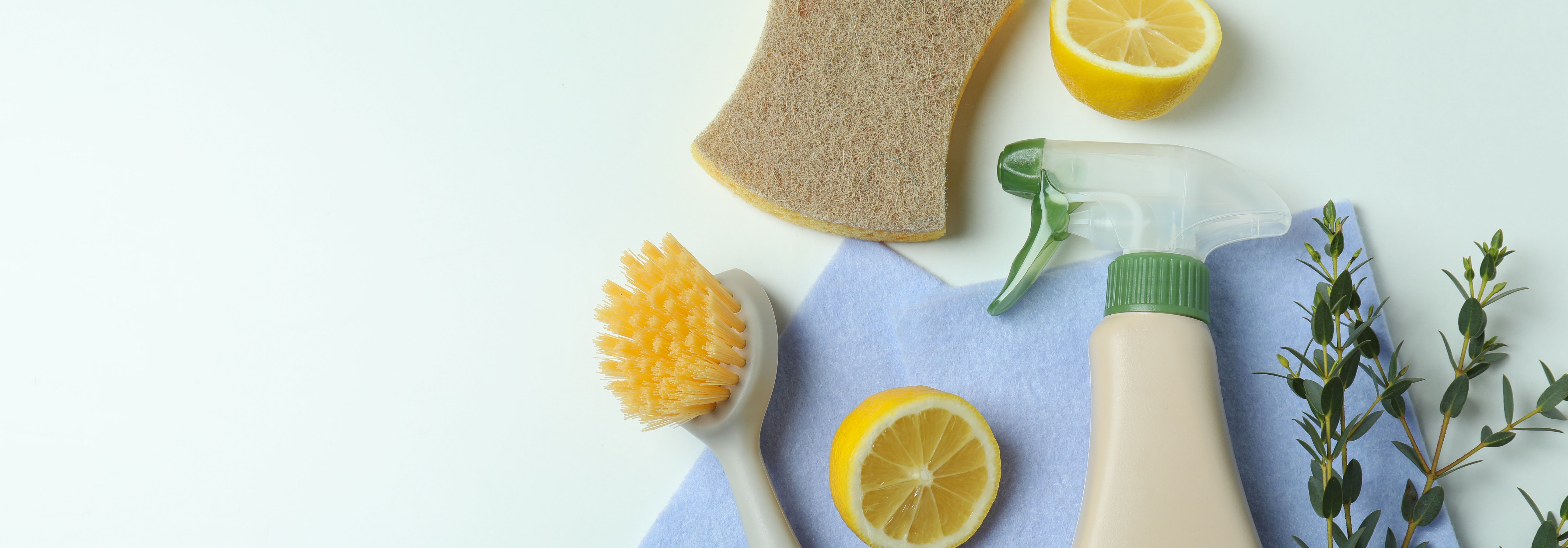 Tänapäeva kiire elutempo juures on puhta ja tervisliku kodukeskkonna ...