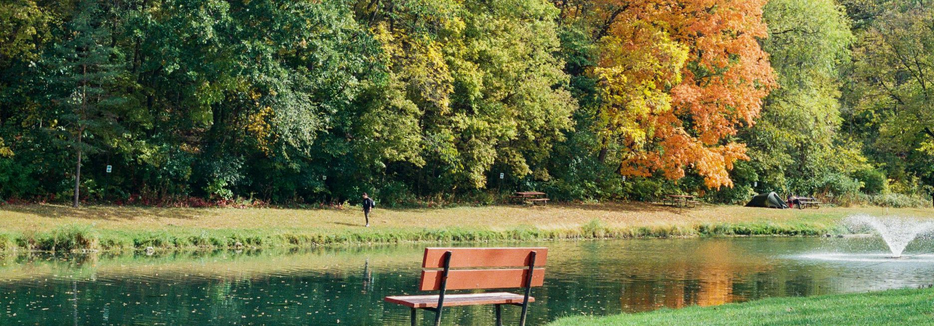 Looduse fotograafia on kunstivorm, mis võimaldab meil jäädvustada loodusmaailma hingematvat ilu. See hõlmab maastike, eluslooduse, taimede ja teiste looduse ele