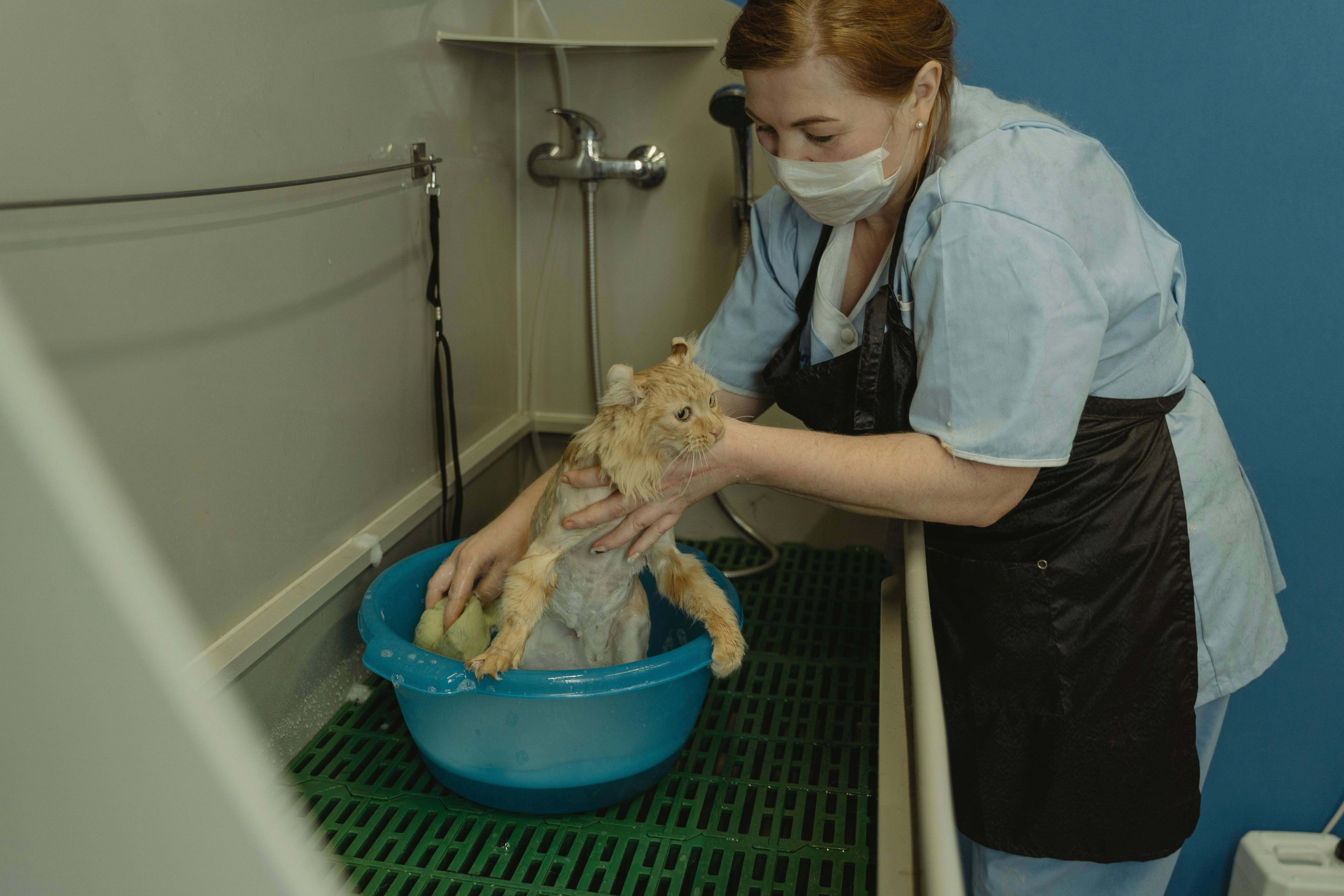 Animal care is the basis for reliable and caring animal husbandry. ...