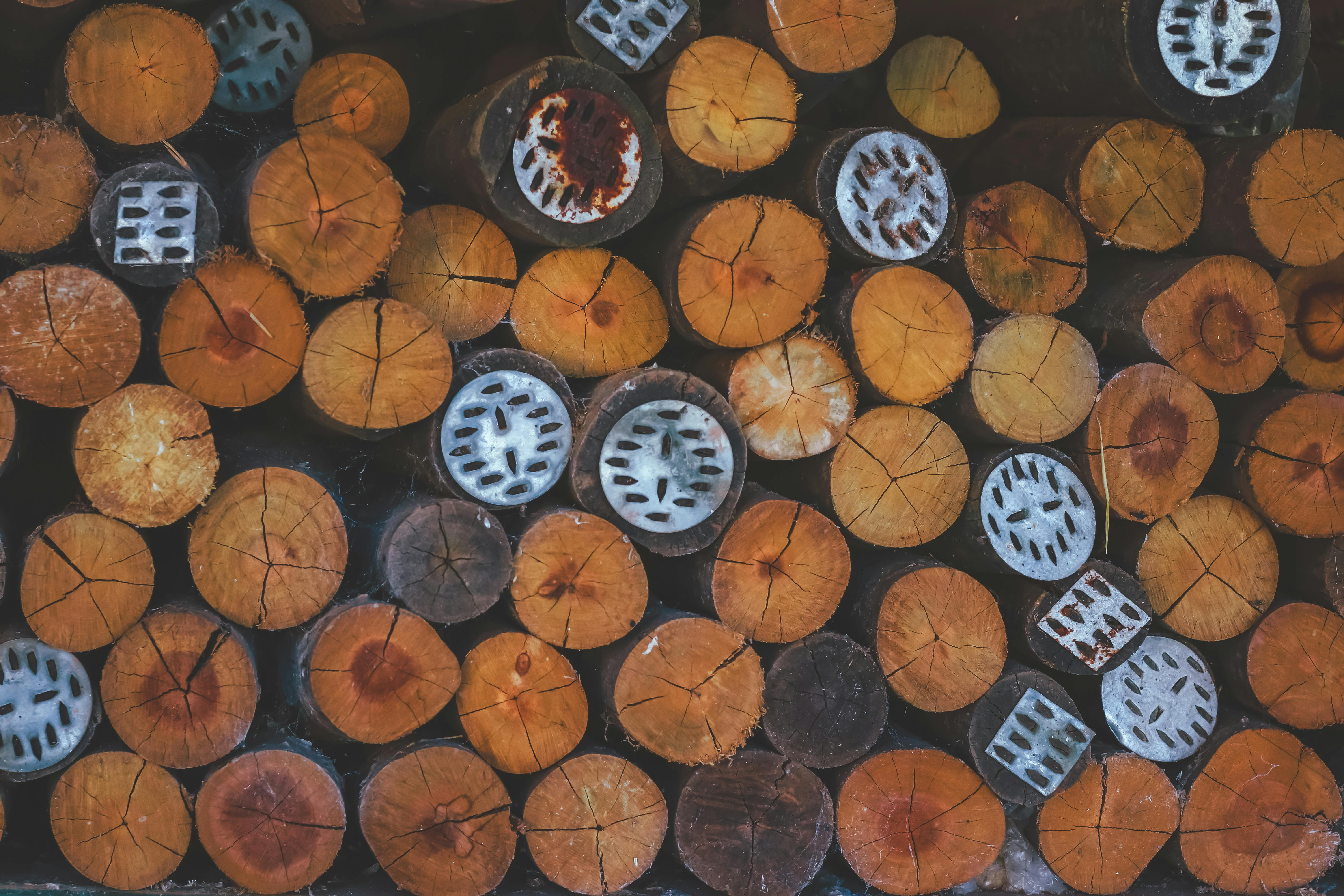 Biofuel boilers is a smart choice for companies and projects where ...