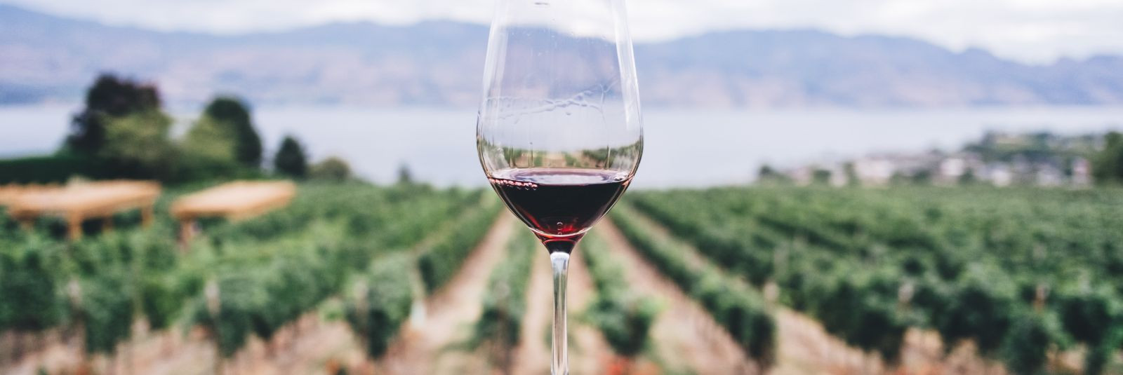 Bordeaux vein on nagu ajarännak läbi viinamarjade kootud lõimede, ...
