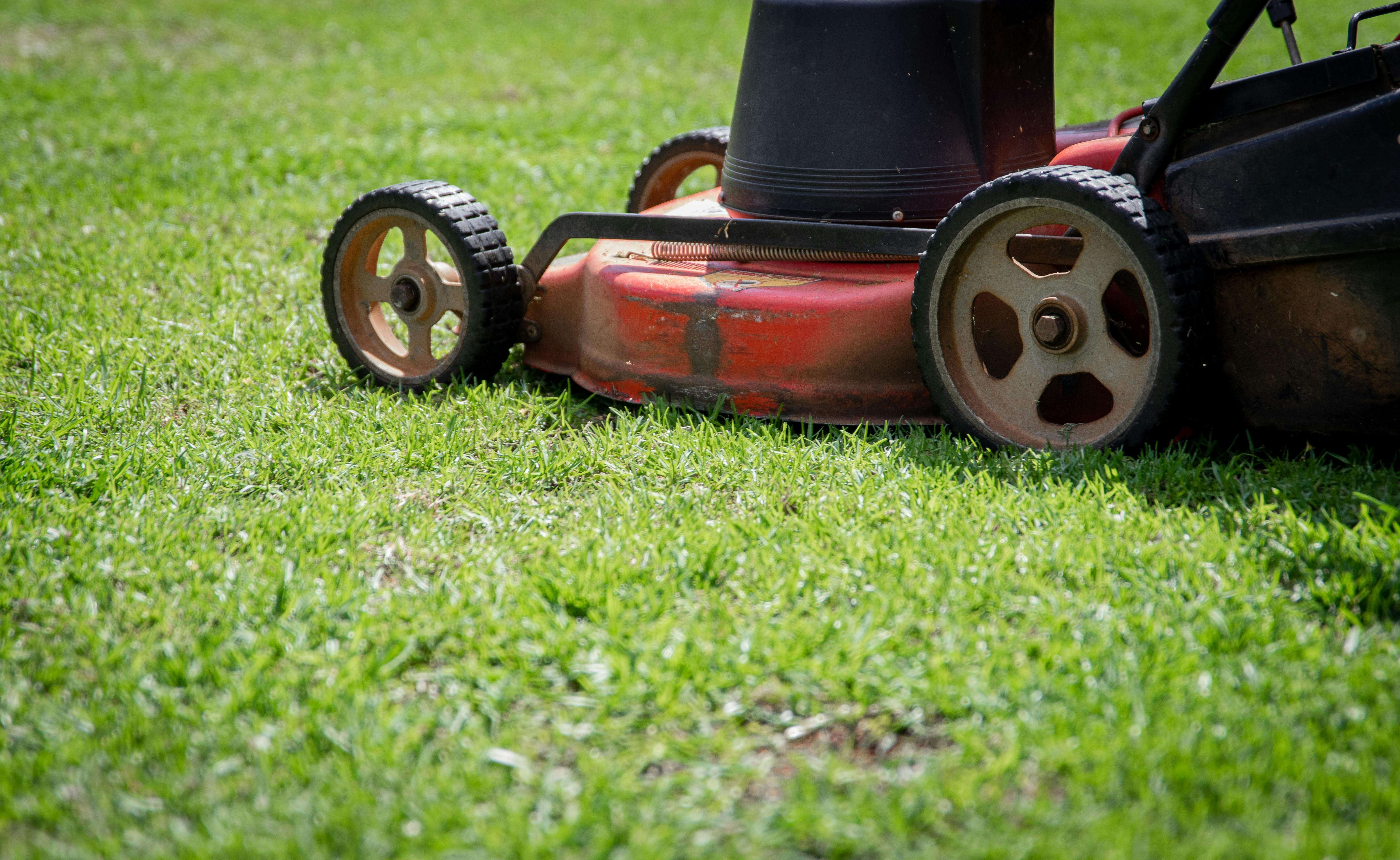 Professional lawn maintenance  ensures a remarkable appearance and a healthy green cover in the garden, business area or green area of the apartment cooperative