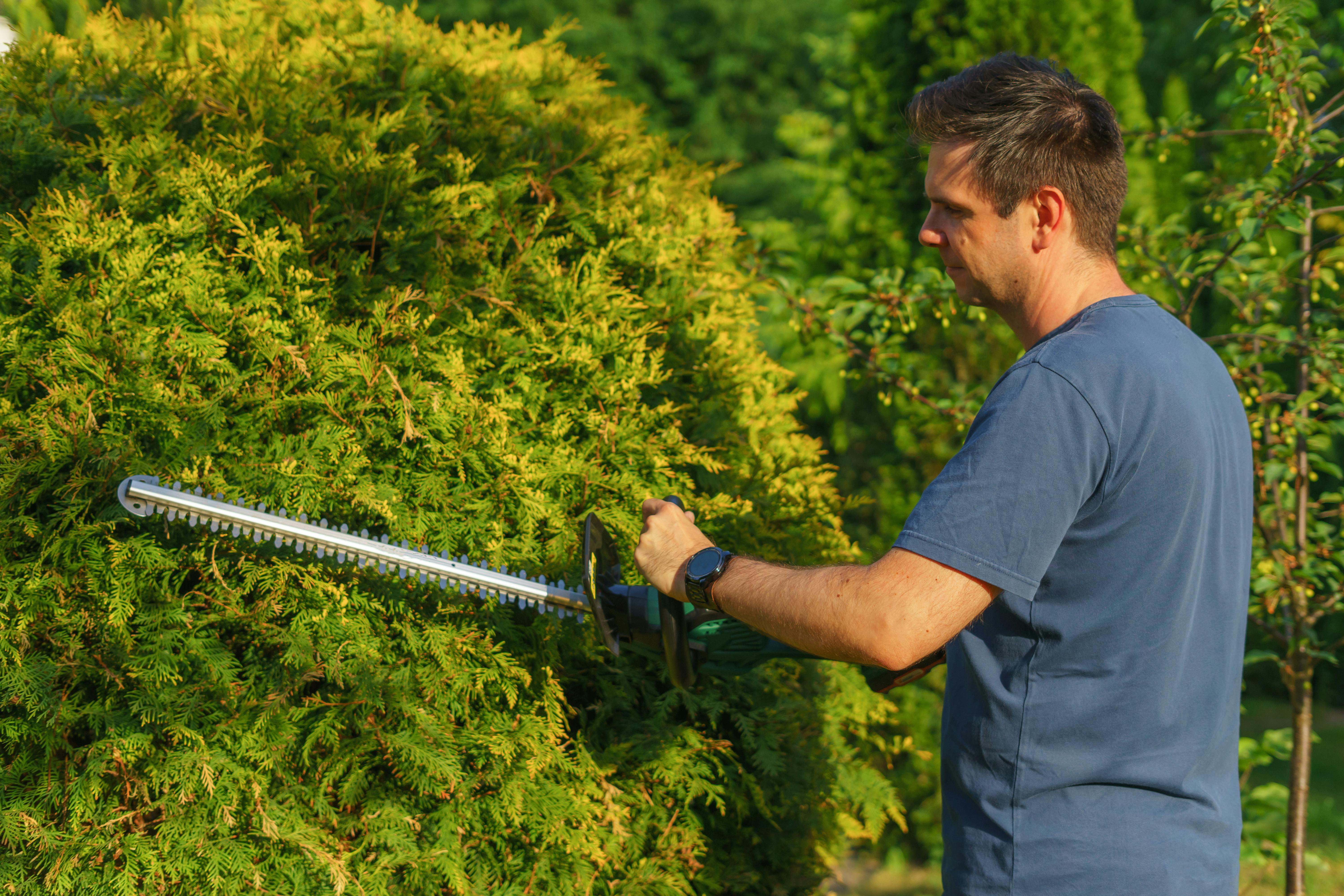 Why choose professional hedge care?  A common, healthy and orderly limit adds value to the property and improves the external appearance. Regular  heck care  re