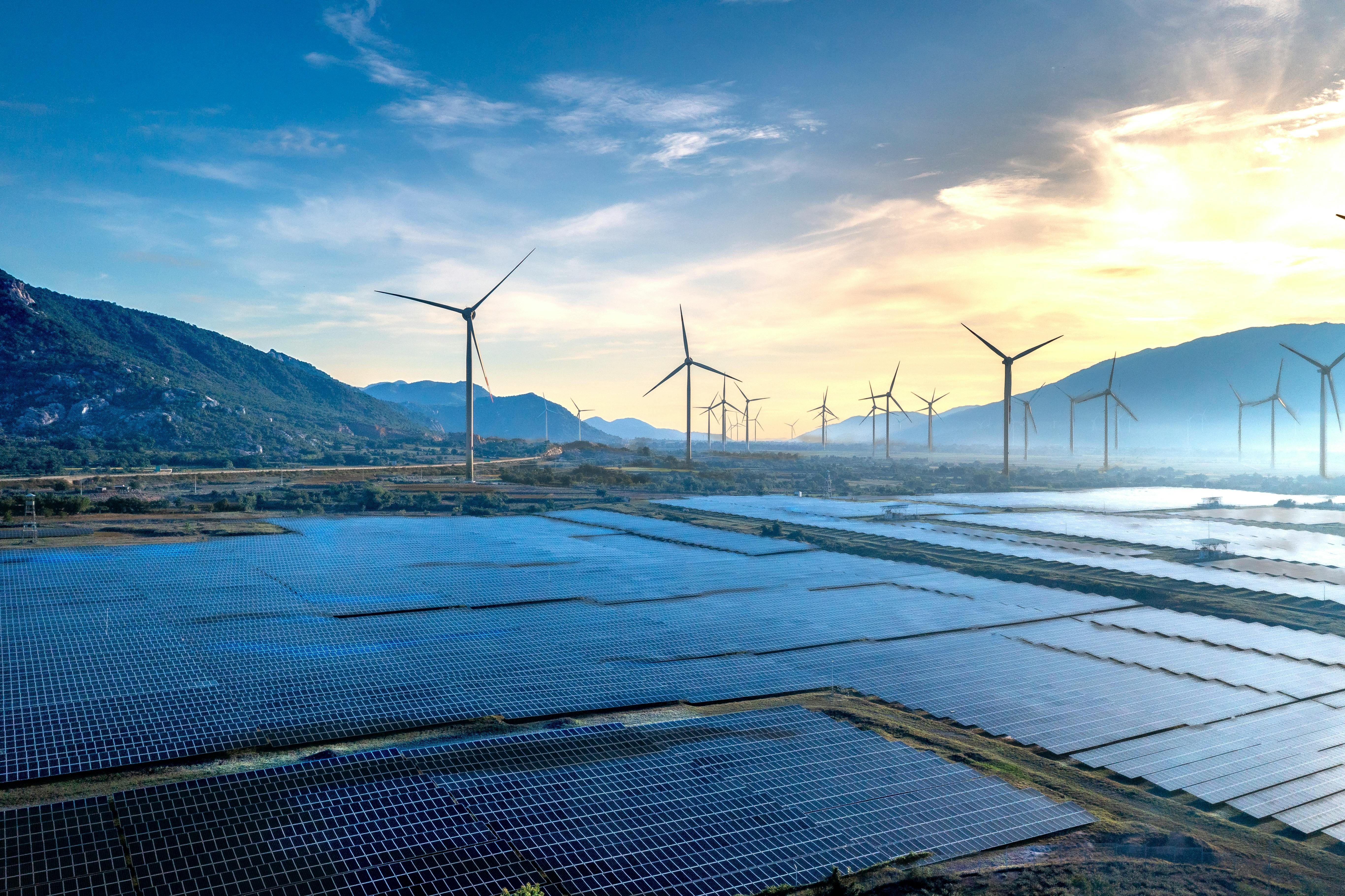 A comprehensive energy strategy for companies combining strong purchasing mechanisms, continuous market monitoring and strategic PPA agreements to reduce price 