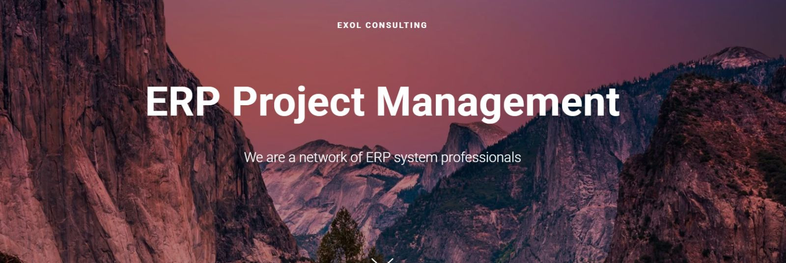 We are experts in running ERP projects. eXol Consulting works with companies leading their ERP projects and offering them consultancy in this area. Delays and cost overruns are minimized with well led projects. eXol