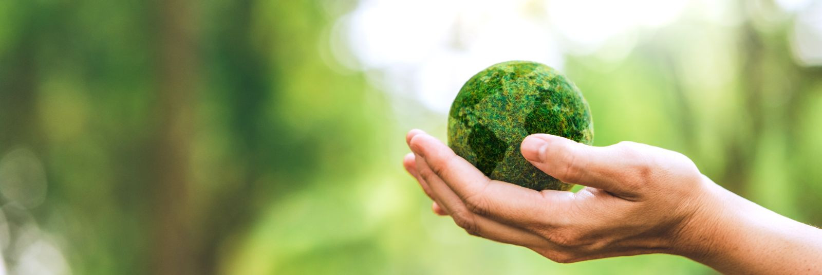 Eesti Keskkonnateenused AS on Eesti juhtiv jäätmekäitlus- ja kommunaalteenuseid pakkuv ettevõte, kelle visiooniks on luua keskkonnasõbralikum ja jätkusuutlikum 