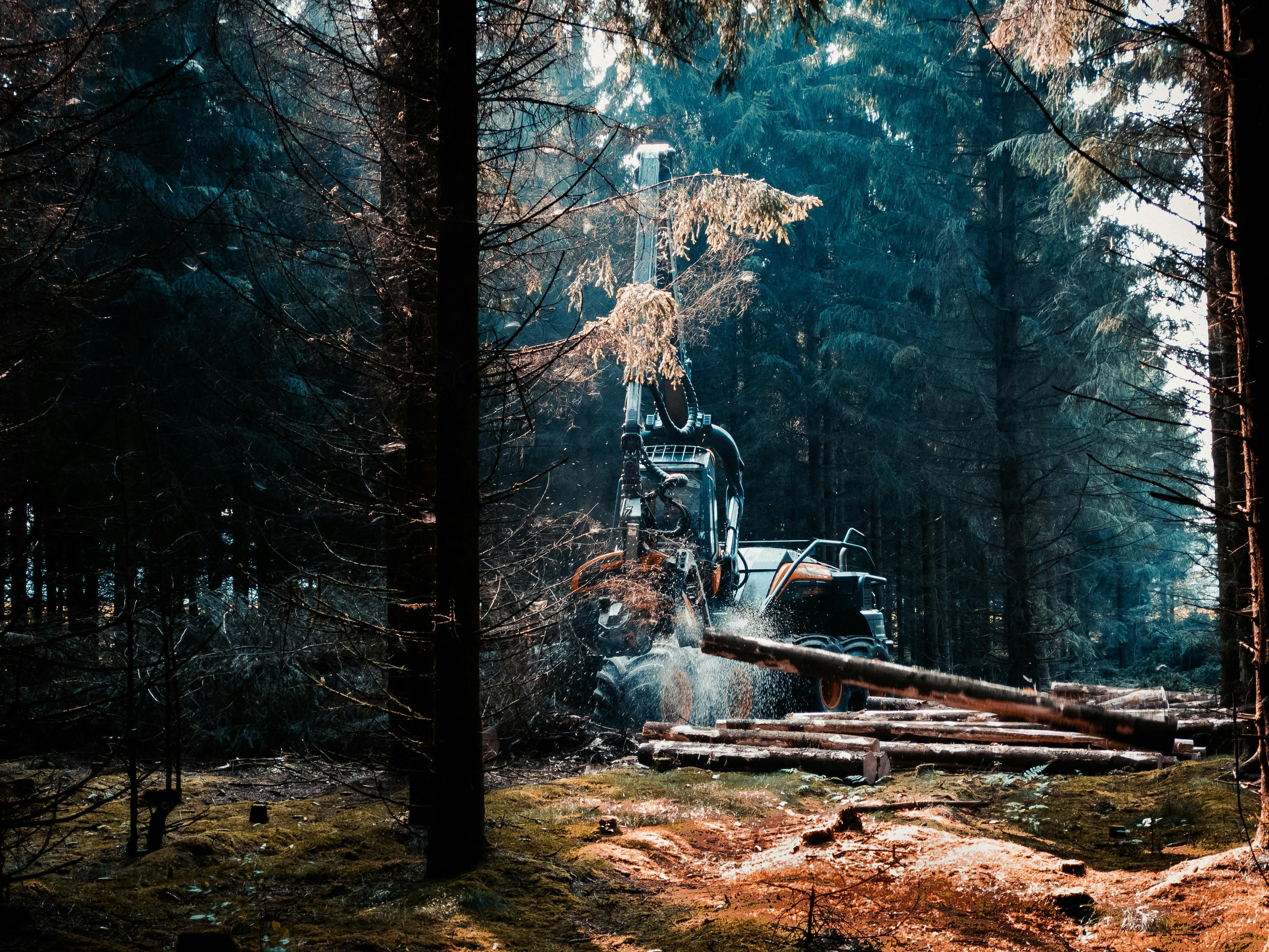 We are a forestry company with Estonian owners that helps forest owners and landowners make practical and thoughtful decisions about the use of their forest ass