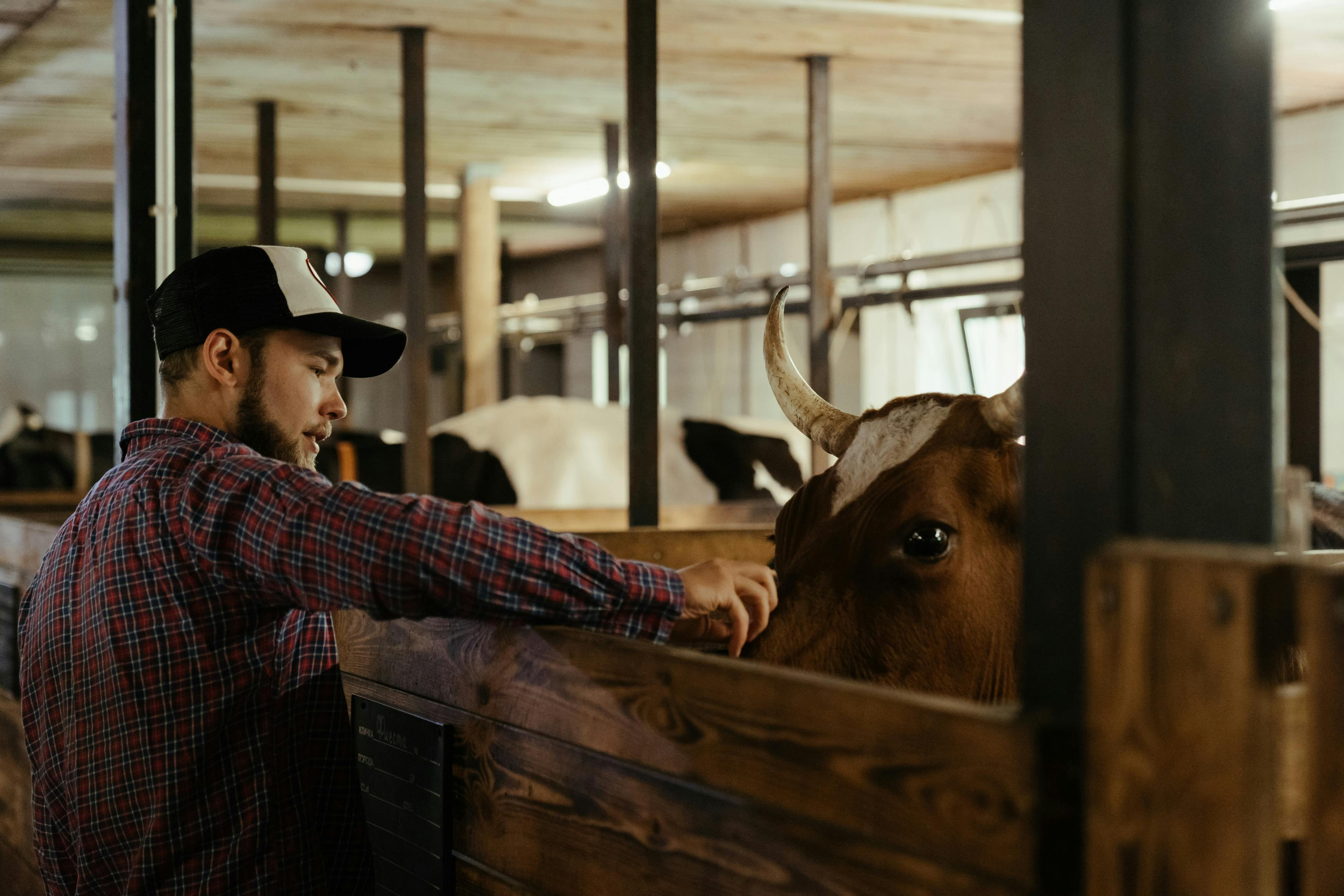 Our work focuses on animal welfare and day-to-day care. We believe that well-organised animal husbandry begins with attention, consistency and the ability to ke