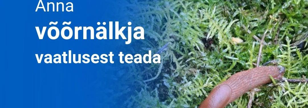 Soojemate ilmade saabudes aktiveeruvad koos muu elurikkusega ka nälkjad. Oleme saanud teated esimeste liikvel olevate hispaania teetigude kohta.       Anna ka s