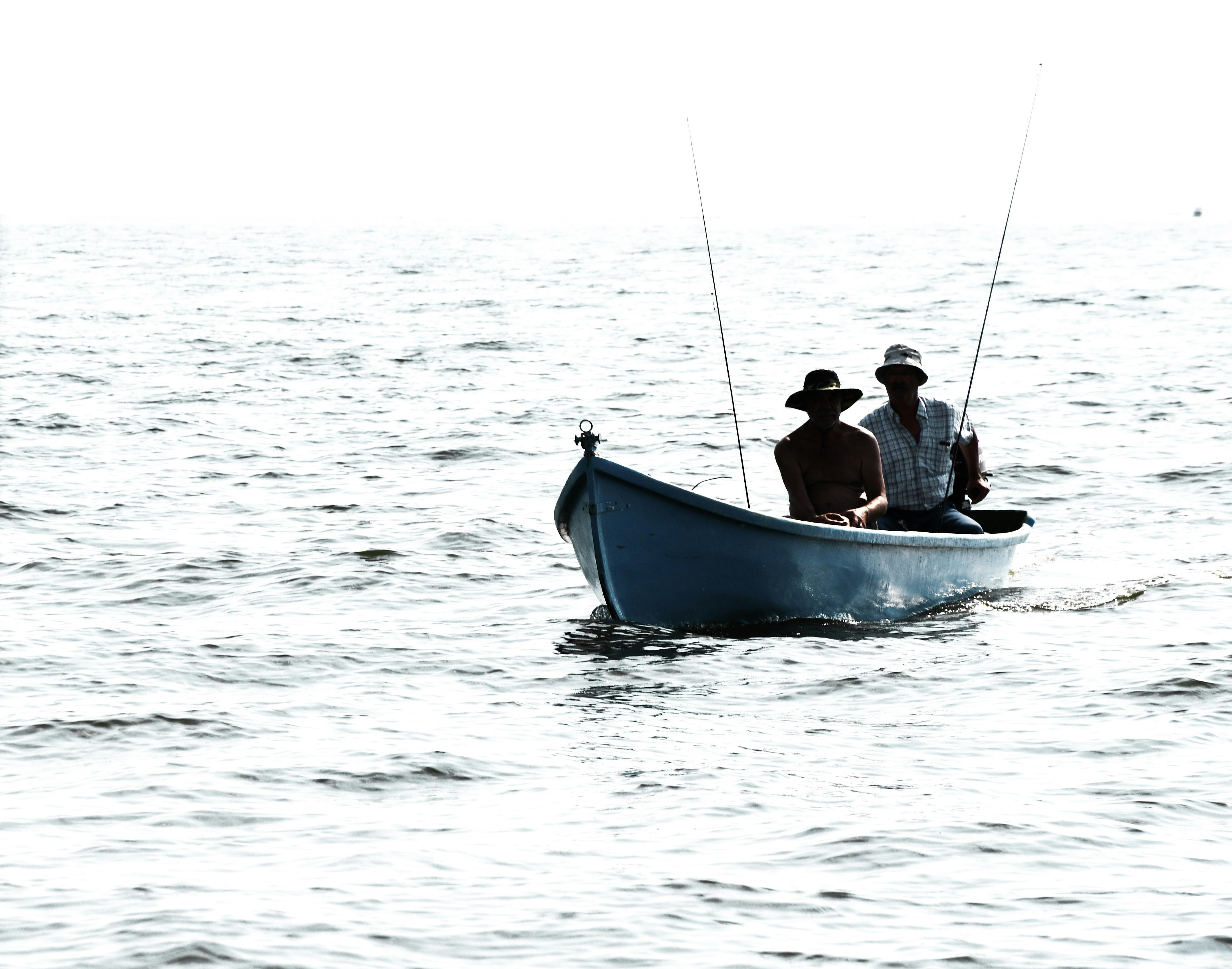 Fisheries in Saaremaa  offer the perfect opportunity to combine holiday, active movement and real marine experience. If you are looking for a change to everyday