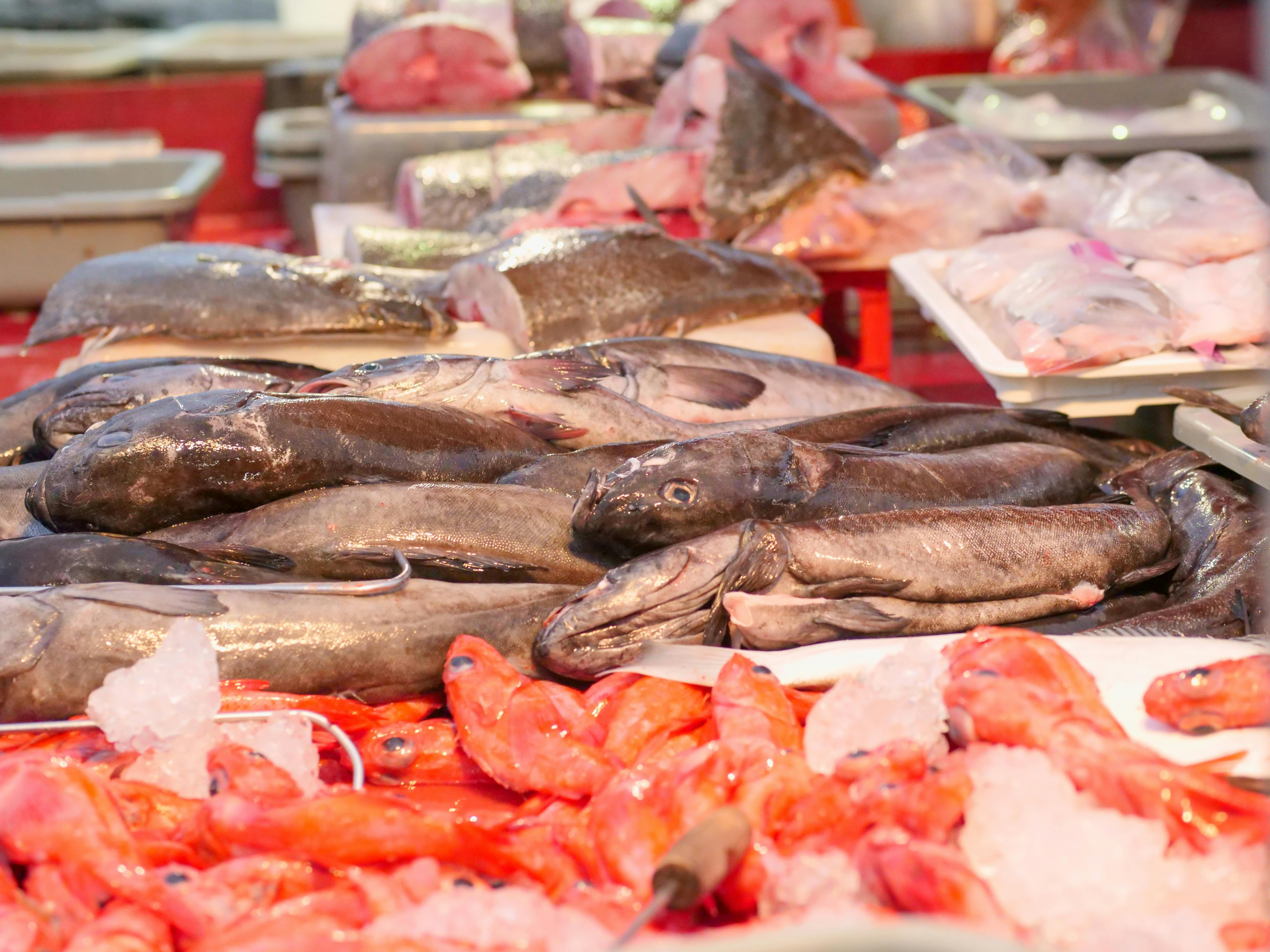 Fresh fish, seafood and smoked products  create taste, diversity and quality on the table, which are appreciated by both domestic chefs and well-known food buye