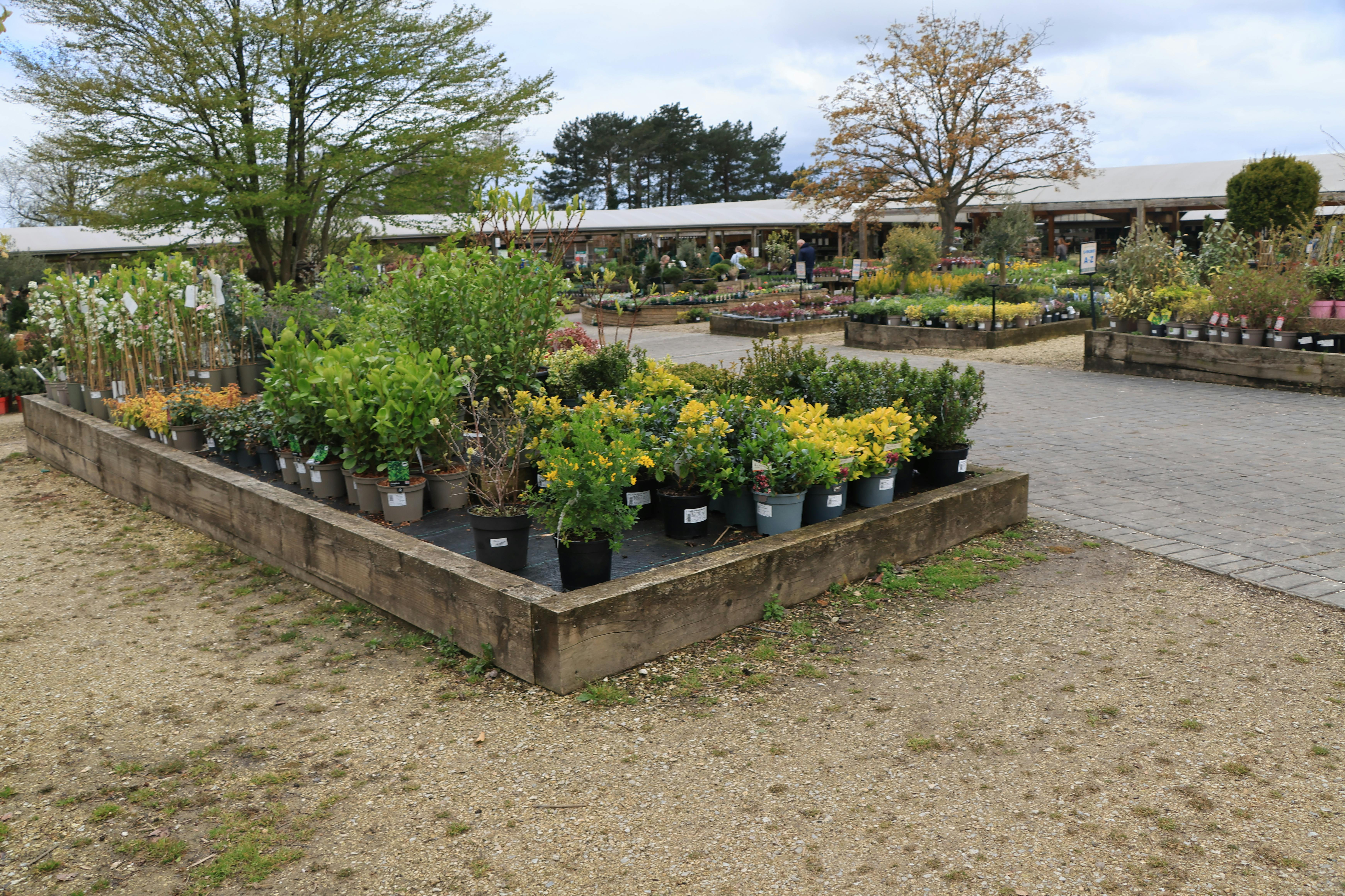 A well-selected  garden plants  give the garden an immediate appeal, care and thoughtful look. Let the goal be a private garden, a representative courtyard or a