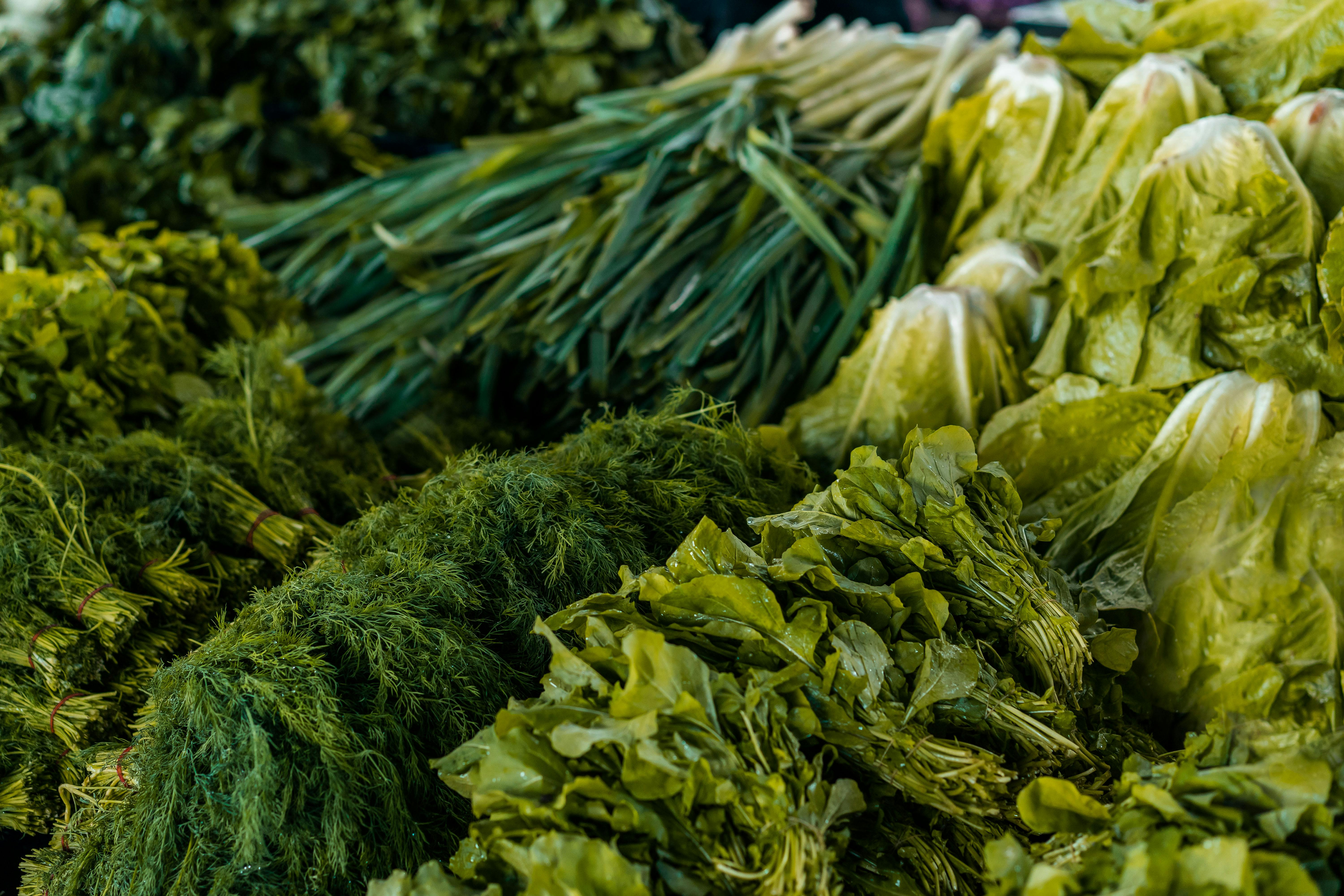 Green  brings freshness to the kitchen and to the counter, which is easy to see and even easier to use. Dill and green onions are packed on a practical biola th