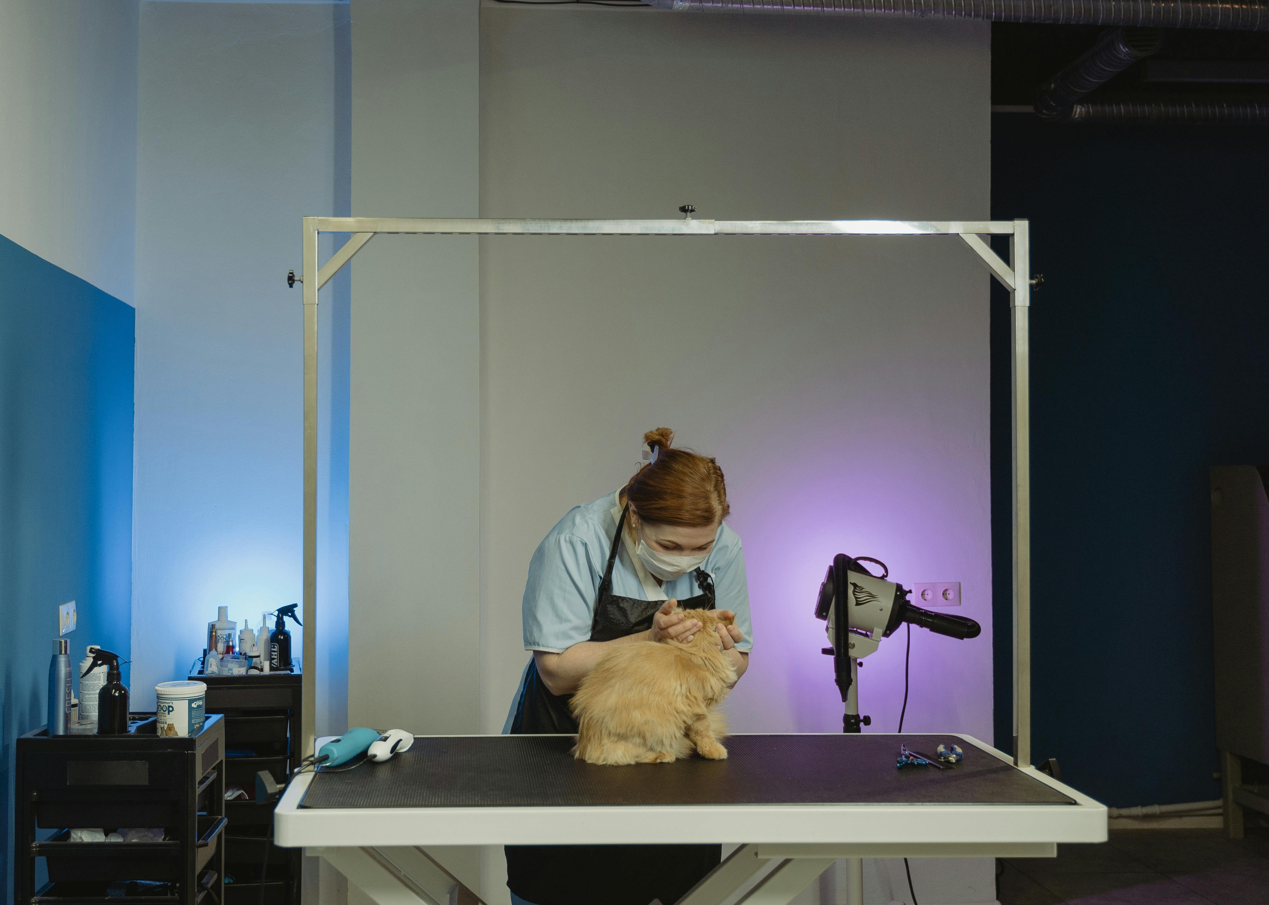 Professionaalne hooldus, mis hoiab lemmiku puhta, tervena ja rõõmsana ...