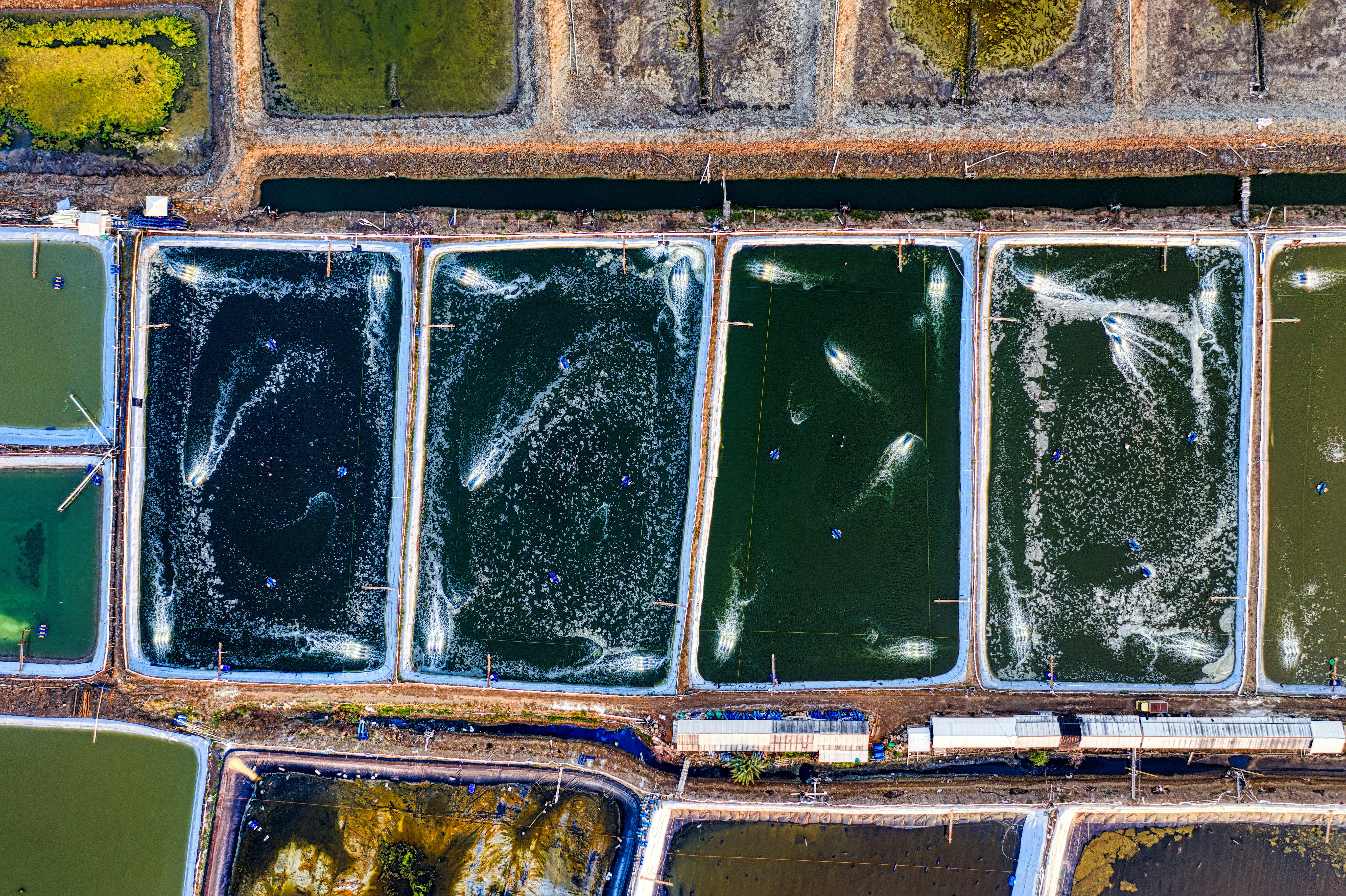 Land-based systems  are designed to facilitate the day-to-day work of fish farming where each move must be accurate, safe and stable. The integrated solution su