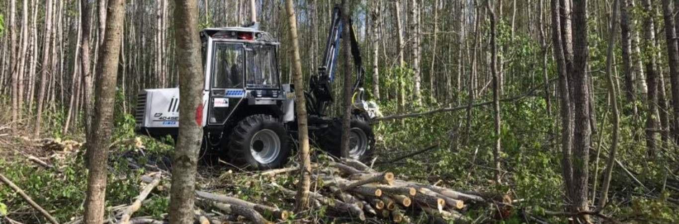 Harvendusraie on tõhus ja võimas metsamajandusvahend, mis soodustab ...