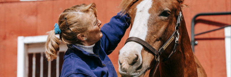 Hobuse eest hoolitsemine:  rohkem kui lihtsalt sööt ja harjamine