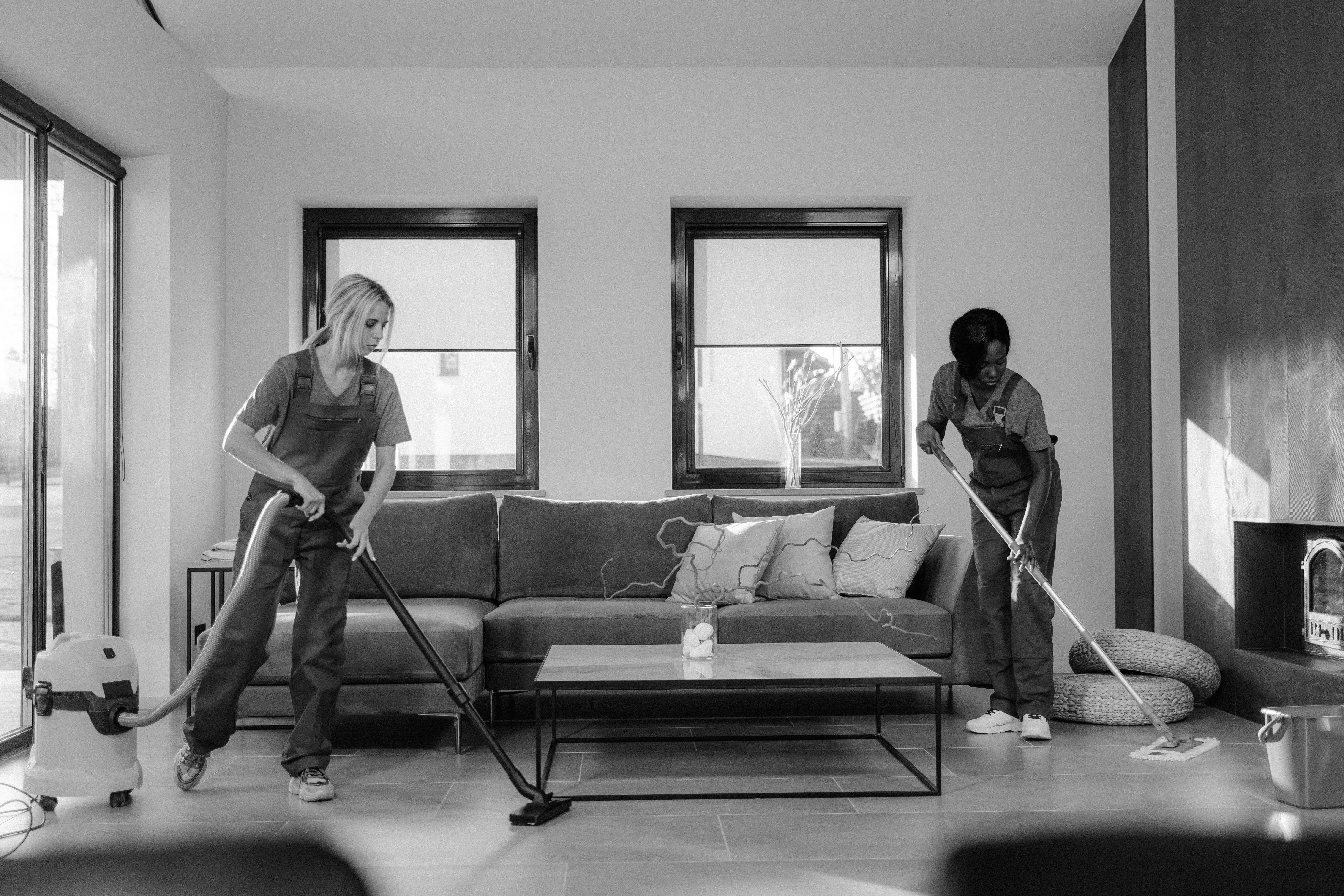 Homestead  is an easy way to keep housing always representative, fresh and comfortable. If the daily duties take all the time, professional cleaning helps to ea