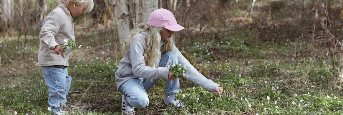 Vaatamata suveallahinduse lõppemisele on pidevalt palju tooteid allahindluses. Vaata lähemalt siit: https://isbjornofsweden.ee/tootekategooria/sale/