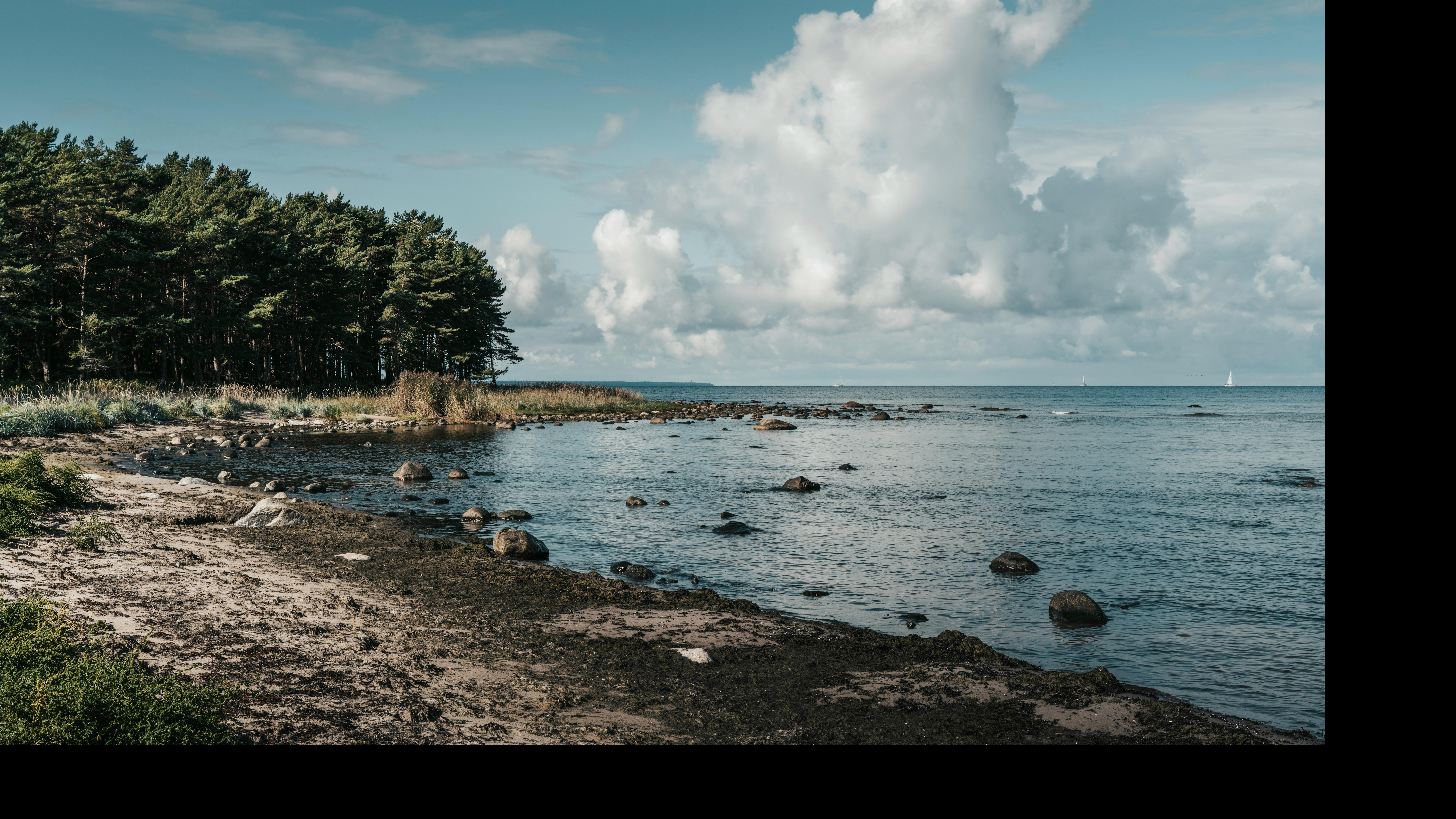 Saare tours  offer an opportunity to step away from the daily rhythm and enjoy the calm rhythm of Estonian islands for a moment. Comfortable  saaretrips  take t
