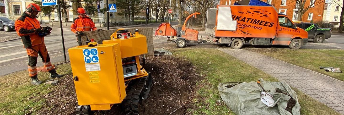 Kännude freesimine ja hekkide hooldus on olulised aedade hooldustööd, ...