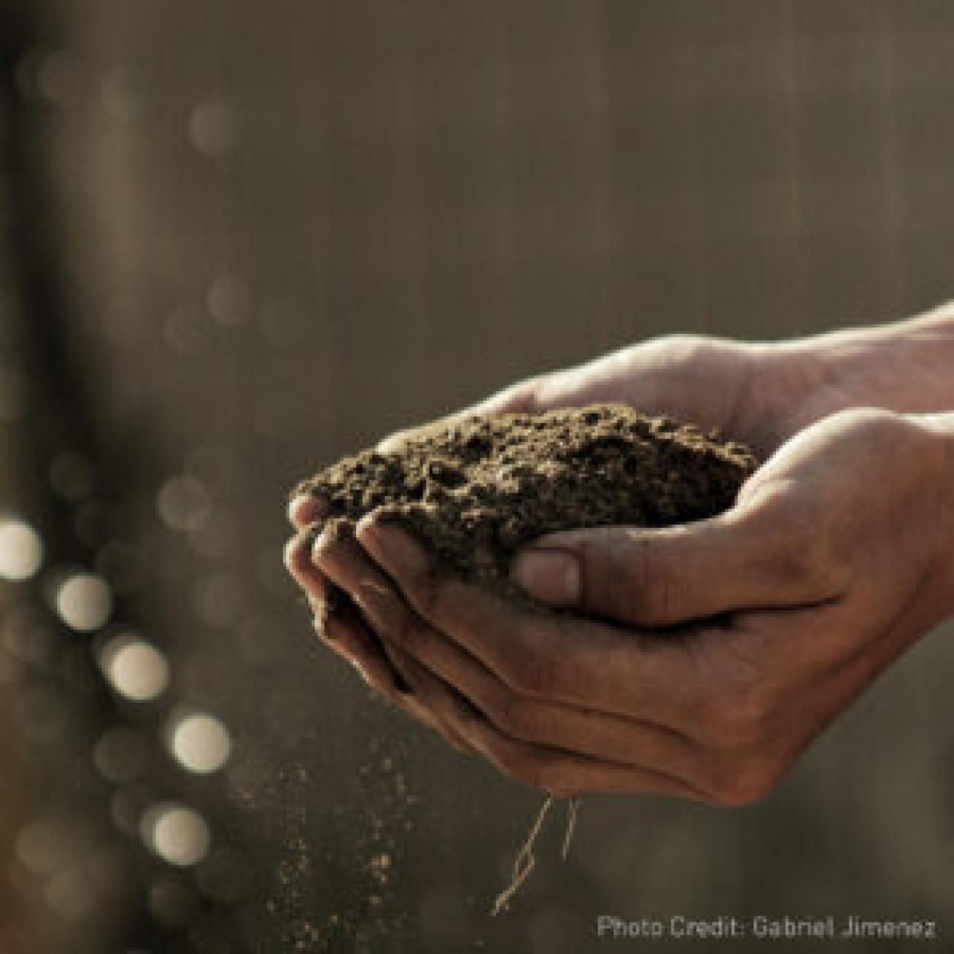Looduses tekib toitainerikas mullakiht kompostimisel õigetel tingimustel paari kuu jooksul. Tähtsateks komposti tekkimise teguriteks on temperatuur, niiskuse ja