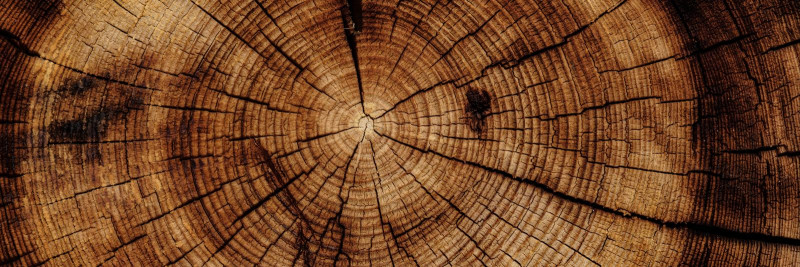 Kuidas näeb välja keskkonnasõbralik puidutööstus?