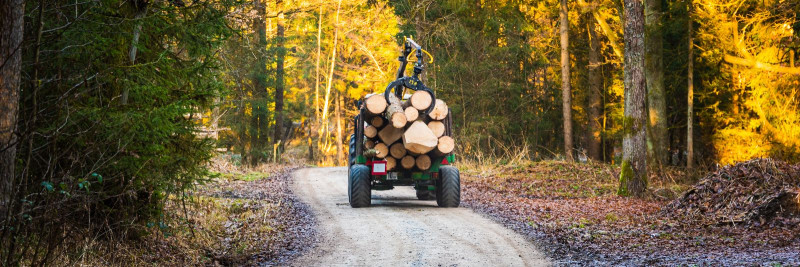 Kuidas optimeerida metsakorraldust? 