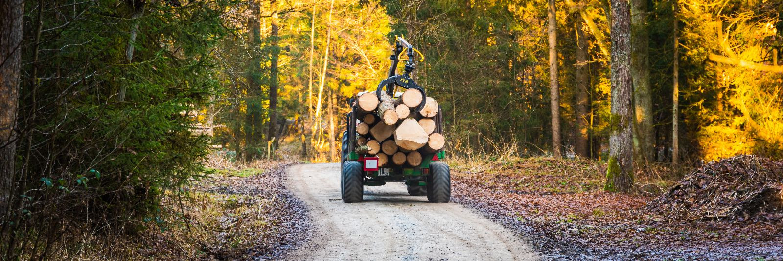 Metsakorraldus on oluline protsess metsamajanduse valdkonnas, mis hõlmab metsaressursside tõhusat haldamist ja planeerimist. Optimeeritud metsakorraldus aitab s