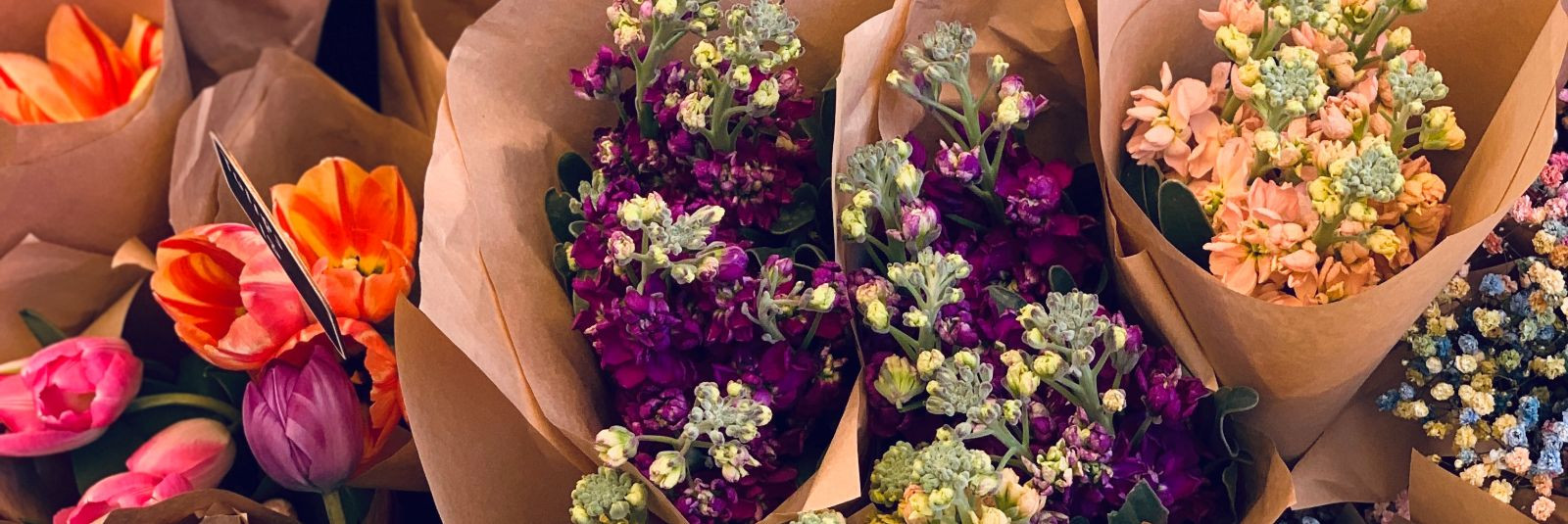 Kumarol Grupp OÜ Lillepood Saare Selveris on suurepärane valik kvaliteetsete lillede ja lilleteenuste otsijatele Saaremaal. Meie lillepood pakub suurt valikut l