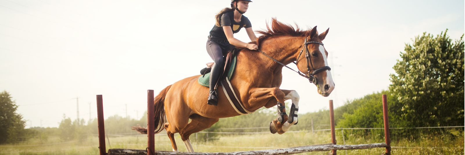 Kui hobused ja ratsutamine on sinu kirg, siis tere tulemast Vooremaa Ratsakeskusse, kus me ühendame kirge ja hobuseid unustamatu kogemuse loomiseks. Oleme pühen