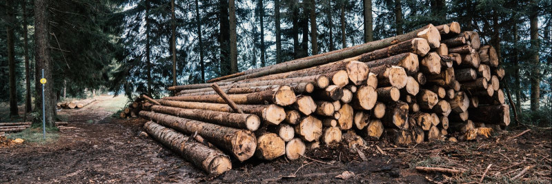Metsamaterjali vedu:  oluline lüli metsanduse ja puidutööstuse vahel