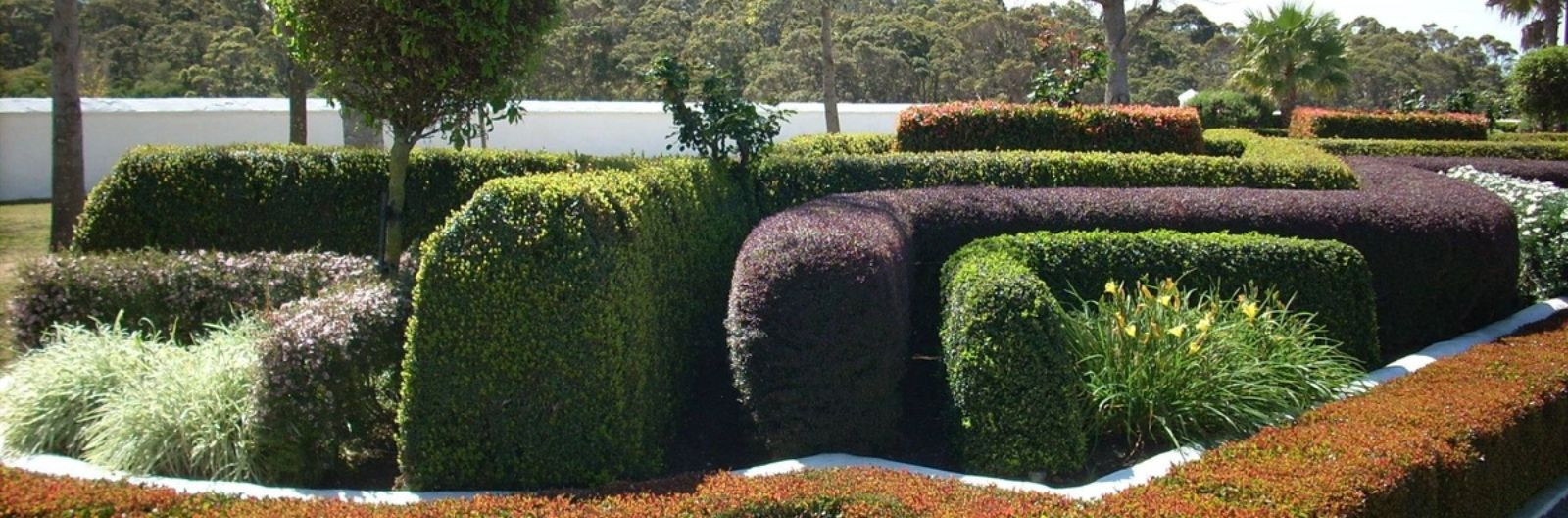 Hekipügamise peen kunst on aednikutöö, mis hõlmab heki kujundamist ja pügamist teatud kujunditeks ja stiilideks. See võib hõlmata erinevaid tehnikaid, nagu püga